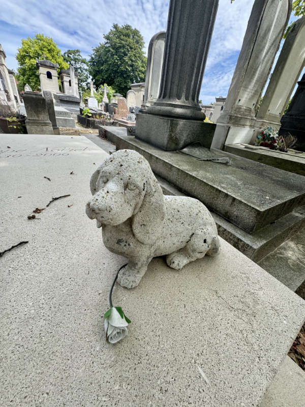 tombe-philippe-noiret-cimetiere-montparnasse-chien